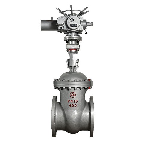 Задвижка стальная 30с941нж DN 600 PN 16 фланцевая под привод тип Г, класс ''А'' L=800мм САЗ АВАНГАРД купить в Волгограде | "Проконсим"