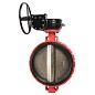 Затвор дисковый поворотный DN 350 PN 16 межфланцевый с диском из чугуна уплотнение-EPDM редуктор Рашворк 200 купить в Волгограде | "Проконсим"