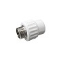 Муфта комбинированная ПП 25-1/2'' PN 25 с наружной резьбой белая VALFEX Pro купить в Волгограде | "Проконсим"