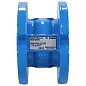 Клапан обр. осевой DN 100 PN 16  чуг/нерж. ств. фл. до 100гр. РИДАН NVD-402R 082X8474R купить в Волгограде | "Проконсим"