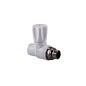 Вентиль для радиатора ПП 25-3/4'' PN 25 прямой с американкой белый РТП 10535 купить в Волгограде | "Проконсим"