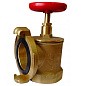 Клапан пожарный латунный КПАЛ DN 65 PN 16 угловой 90гр. муфта-соединительная головка Апогей купить в Волгограде | "Проконсим"