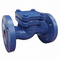 Клапаны обратные подъемные DN 15-200 PN 16 чугунные фланцевые до 250гр. АСТА ОК113 купить в Волгограде | "Проконсим"