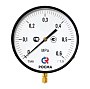 Манометр Росма ТМ-810Р.00 котловый, 250мм, 0-60кгс/см2, резьба M20x1,5, радиальный, класс точности 1,5 купить в Волгограде | "Проконсим"