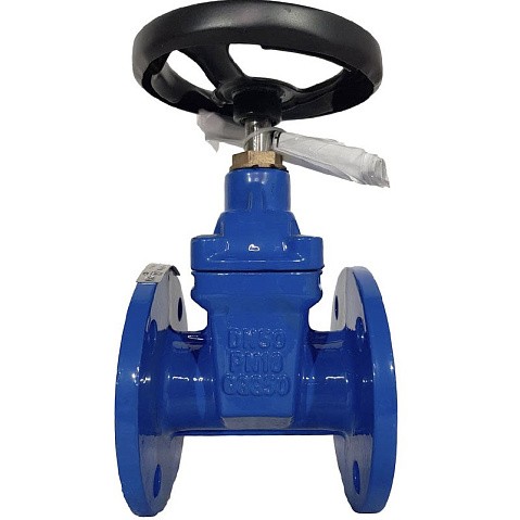 Задвижка чугунная 30ч39р DN 50 PN 10(16) с обрезиненным клином EPDM до 120гр. фланцевый ручной СИБЗТА купить в Волгограде | "Проконсим" (930130200)
