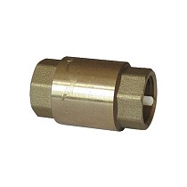 Клапаны обратные пружинные DN 15-100 PN 10 латунные муфтовые пластиковый шток SGL купить в Волгограде | "Проконсим"