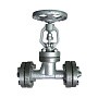 Клапаны запорные 15с52нж10 DN 15-200 PN 63 стальные до 400гр. с ответными фланцами купить в Волгограде | "Проконсим"