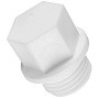 Заглушка резьбовая ПП 15-1/2'' PN 25 с наружной резьбой белая РТП 10555 купить в Волгограде | "Проконсим"
