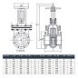Задвижка чугунная 30ч6бр DN 200 PN 16 фланцевая параллельная ЛМЗ Семенов купить в Волгограде | "Проконсим"