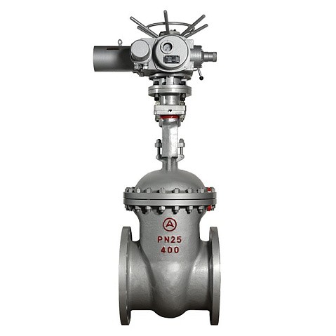 Задвижка стальная 30с964нж DN 600 PN 25 фланцевая под привод тип Г, класс ''А'' L=800мм САЗ АВАНГАРД купить в Волгограде | "Проконсим"