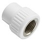 Муфта комбинированная ПП 25-1'' PN 25 с внутренней резьбой белая VALFEX  купить в Волгограде | "Проконсим"