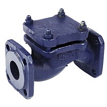Клапаны обратные 16кч9нж подъёмные DN32-80 PN25 нержавеющая сталь фланцевые до 300гр. ЛУИДОР купить в Волгограде | "Проконсим"
