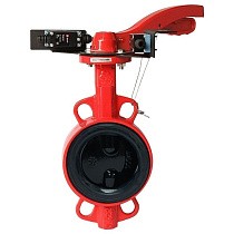 Затворы чугунные дисковые DN 50-250 PN 16 межфланцевые с концевиками и чугунным диском рычаг РАШВОРК купить в Волгограде | "Проконсим"