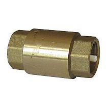Клапан латунный обратный пружинный DN 50 PN 10 муфтовый пластиковый шток купить в Волгограде | "Проконсим"