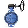 Затвор дисковый поворотный DN 350 PN 16 чугунный с диском из нержавеющей стали межфланцевый редуктор FAF 3500350D купить в Волгограде | "Проконсим"