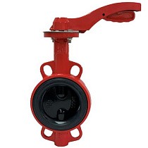 Затворы чугунные дисковые DN 50-100 PN 16 с электроприводом 24В и чугунным диском РАШВОРК купить в Волгограде | "Проконсим"