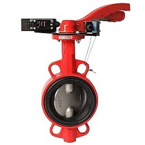 Затворы чугунные дисковые DN 50-250 PN 16 межфланцевые с концевиками диск из нержавеющей стали рычаг РАШВОРК купить в Волгограде | "Проконсим"