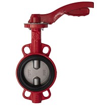 Затворы поворотные дисковые DN 40-250 PN 16 межфланцевые с чугунным диском рычаг Рашворк 200 купить в Волгограде | "Проконсим"