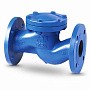Клапан обратный подъемный фланцевый FAF 2250, DN 50, PN 16 корпус-чугун, диск-нержавеющаясталь, уплотнение-нержавеющая сталь купить в Волгограде | "Проконсим"